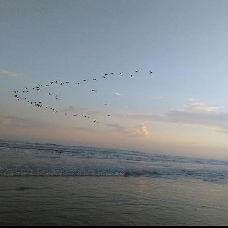 Apartamento Beira Mar Centro Da Cidade Wifi Gratis มอนกากวา ภายนอก รูปภาพ
